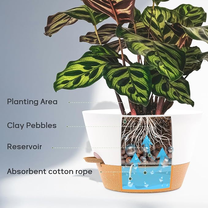 12 Inch Self Watering Pot with Visual Water Window, Drainage Holes & Watering Lip, Large Plastic Planters for Indoor Outdoor Plants, Modern Decorative Flower Pot (White)