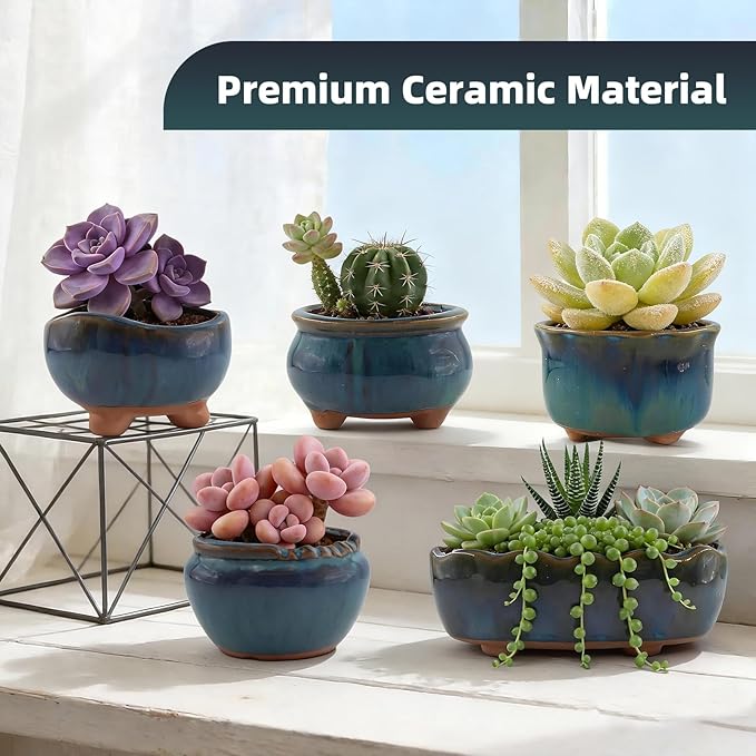 Ceramic Succulent Garden Pots Small Plant Planter Container with Drainage Set of 5 for Home Office Decor