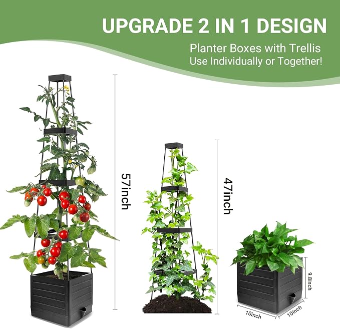 2 Pack Tomato Planter with Trellis 57 Inch, Raised Garden Bed Planter Boxes Self-Watering for Climbing Vegetable, Plants and Tomato Cages for Indoor Outdoor