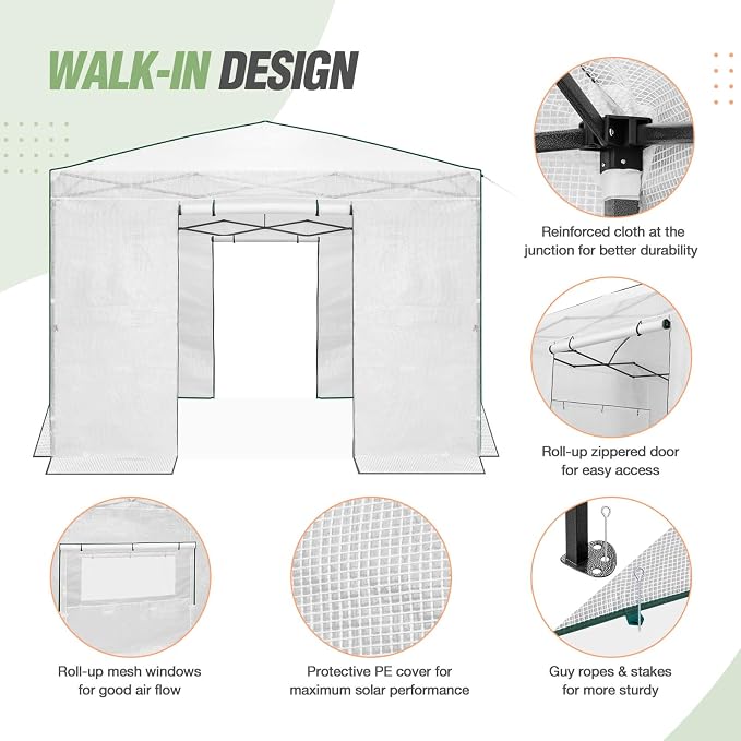 EAGLE PEAK 10x10 Portable Walk in Greenhouse, Pop Up Indoor Outdoor Greenhouse, Green House Kit with Zippered Roll-Up Doors and Windows, PE Cover, Clear/White