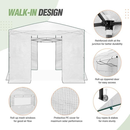 EAGLE PEAK 10x10 Portable Walk in Greenhouse, Pop Up Indoor Outdoor Greenhouse, Green House Kit with Zippered Roll-Up Doors and Windows, PE Cover, Clear/White