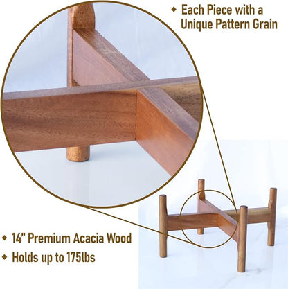 Macaw on Kapok Wood Plant Stand - Fits 8 10 12 to 14 inch Plant Pot - Acacia Solid Wood - Planter Stands for Indoor Plants - Outdoor Planter Large - Modern Plant Holder - Mid Century Plant Stand - Flower Pot Stand