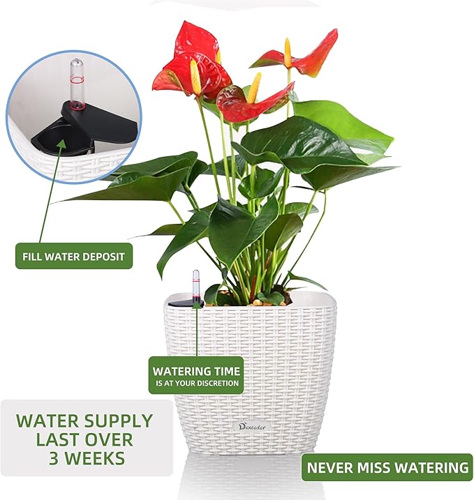 Dexceder 11x10 Self Watering Planter (Ivory White Rattan) | Inner Mat Design, Thickened Table Flower Plant Pot with Water Level Indicator Indoor Outdoor
