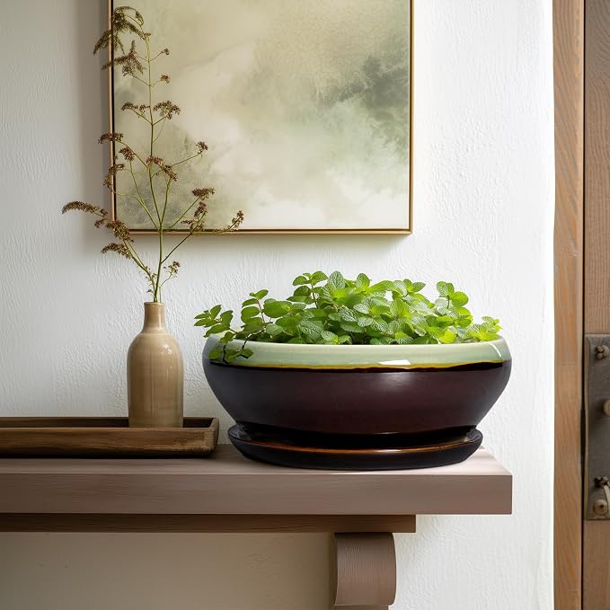 SQOWL Succulent Planters 10 Inch - Ceramic Bonsai Pots with Drainage Hole and Saucer, Shallow Indoor Planter, Round Succulent Pot, Bowl Planter Outdoor, Porch Decor, Gift for Plant Lover, Green-Brown