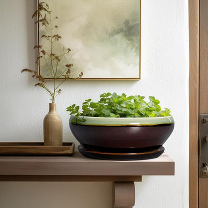 SQOWL Succulent Planters 10 Inch - Ceramic Bonsai Pots with Drainage Hole and Saucer, Shallow Indoor Planter, Round Succulent Pot, Bowl Planter Outdoor, Porch Decor, Gift for Plant Lover, Green-Brown