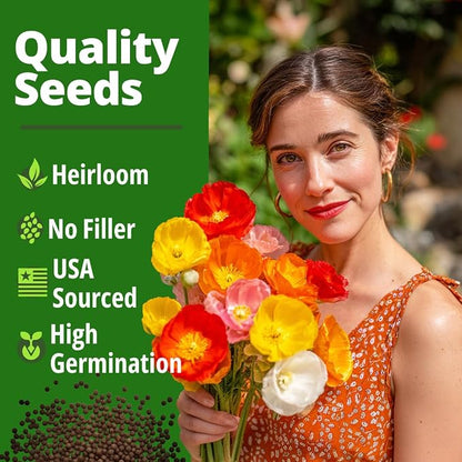 HOME GROWN California Poppy Mission Bells 2200 Seeds (2g) – Flower Seeds for Planting Outdoors, Vibrant Spring & Summer Blooms, Drought Tolerant Annual for Sunny Gardens (Eschscholzia californica)