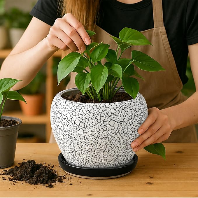 Deep Dream 8 Inch Plant Pots- Ceramic Pots for Plants with Drainage Hole and Saucer, Large Planter Pot for Indoor Plants Outdoor Decor, Wood Crack Black