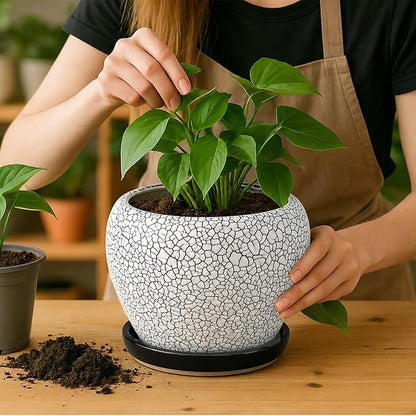 Deep Dream 8 Inch Plant Pots- Ceramic Pots for Plants with Drainage Hole and Saucer, Large Planter Pot for Indoor Plants Outdoor Decor, Wood Crack Black