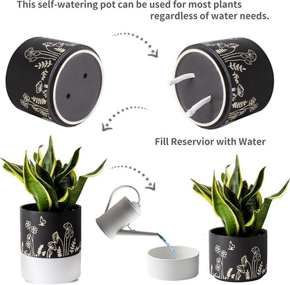 Nihow Self Watering Pots for Indoor Plants,6 Inch,Black,Hand Painting | Ceramic Planter, Drainage Hole & Water Storage Plus, Cylinder Round Flower Pot, For Succulent/Herbs/Violets