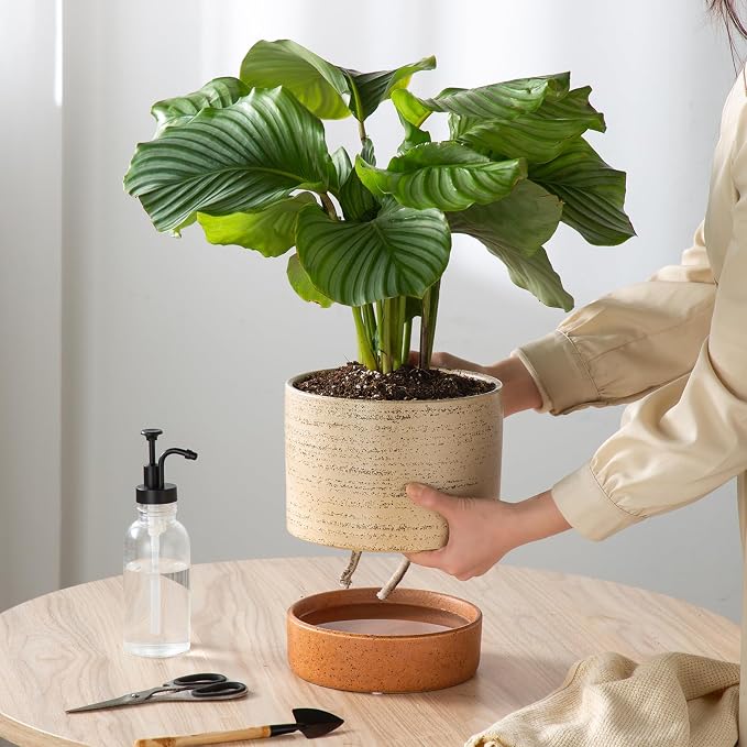 8 Inch Ceramic Self Watering Planter with Drainage Hole, Brush | Indoor Plant Pot with Water Storage Plus - for African Violet, Herbs & Pothos - Home & Office Decor, Cylinder Round