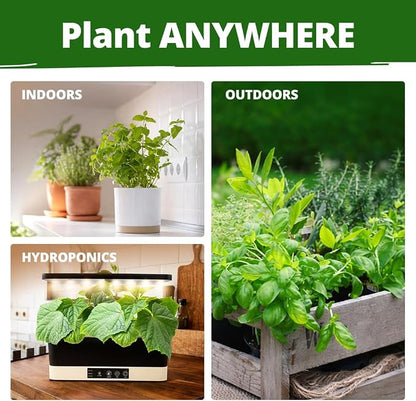 HOME GROWN Herb Seeds for Planting 15-Pack Massive Seed Count 4,300+ Seeds Non-GMO Heirloom | Extra Large | Culinary Herb Kit, Indoor Outdoor & Hydroponic | Grow Your Own Herbs | Gardening Gift