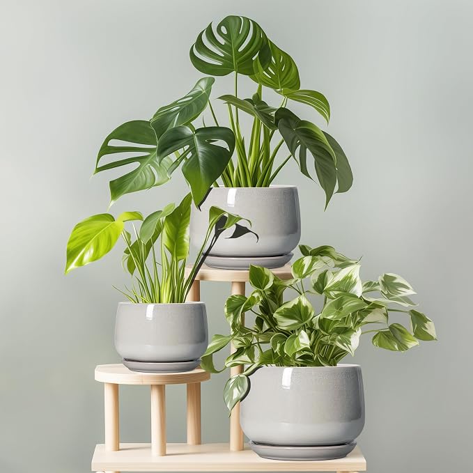 G EPGardening Ceramic Plant Pots - 7 Inch Plant Pot with Drainage and Saucer, Ceramic Planters for Indoor Outdoor Plants, Modern Round Planter, Room Decor, Gardening Gifts for Women Men, Light Grey