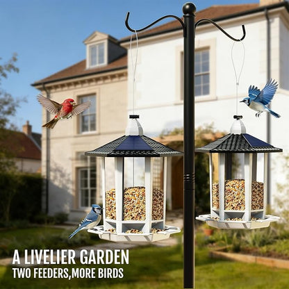 Birdream Solar Bird Feeders for Outdoors Hanging, Assembly Required, 1-Min Easy Setup, Wild Seed Feeders for Cardinals Chickadees and Finches