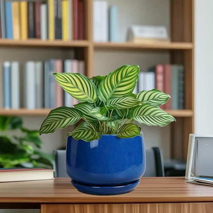 G EPGardening Round Ceramic Plant Pots - 7 Inch Modern Planter with Drainage and Plant Saucer for Indoor Outdoor Flower, Round Office Decor, New Gifts for Home, Blue