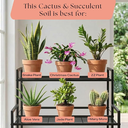 Rosy Soil Cactus & Succulent Potting Mix, 4 Quarts | Organic Succulent Potting Soil, Chunky Fast Draining, Peat-Free, Root Boosting Mix, for AloeVera, Cacti, Indoor Succulents