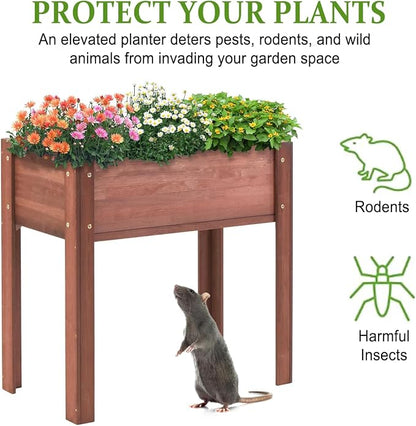 Raised Garden Bed with Legs, 31x16x30 in Planter Boxes Outdoor, Elevated Wooden Planter Box Standing Growing Bed for Gardening, Backyard, Patio and Balcony (Coffee, 31x16x30)
