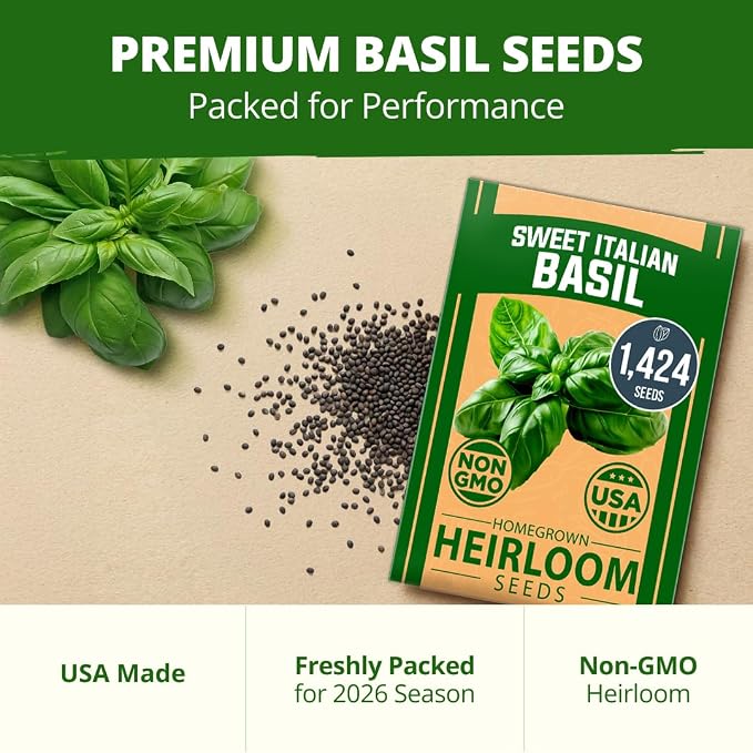 HOME GROWN Non GMO Italian Basil Seeds Bulk Pack 1,424 Sweet Large Leaf Basil Seeds for Planting and Heirloom Herb Seeds for Planting Indoors or Outdoors (Ocimum basilicum)