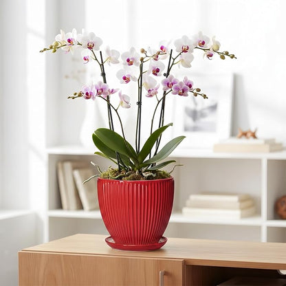 Ceramic Flower Pots 8 Inch, Ceramic Planters for Indoor House Plants, Decorative Plant Pots with Drainage Hole and Saucer, Modern Round Planter, Office Decor, Gifts for Men Women, Red