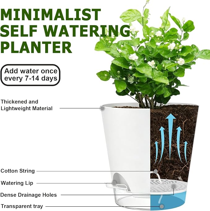 QRRICA 5/5.5/6/6.5/7/8 inch Self Watering Pot Set, Visible Water Level Planter with Transparent Reservoir & Drainage Holes, Plastic Flower Pots with Cotton Rope for Indoor/Outdoor Use (White)