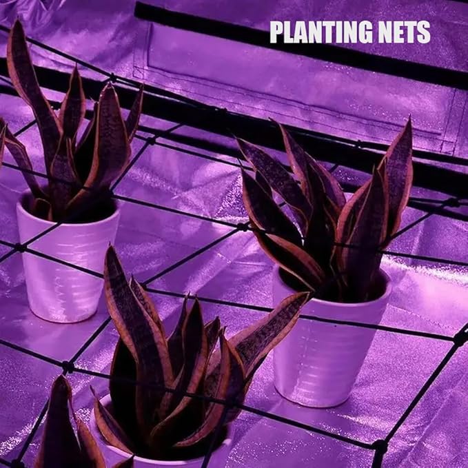 2 Pcs Scrog Net 2x2 FT Trellis Net for Grow Tent Elastic Trellis Netting with Hooks, Loop Tape, Garden Label for Indoor Plant Growing Tents Garden Plant Climbing Plants Support, Black