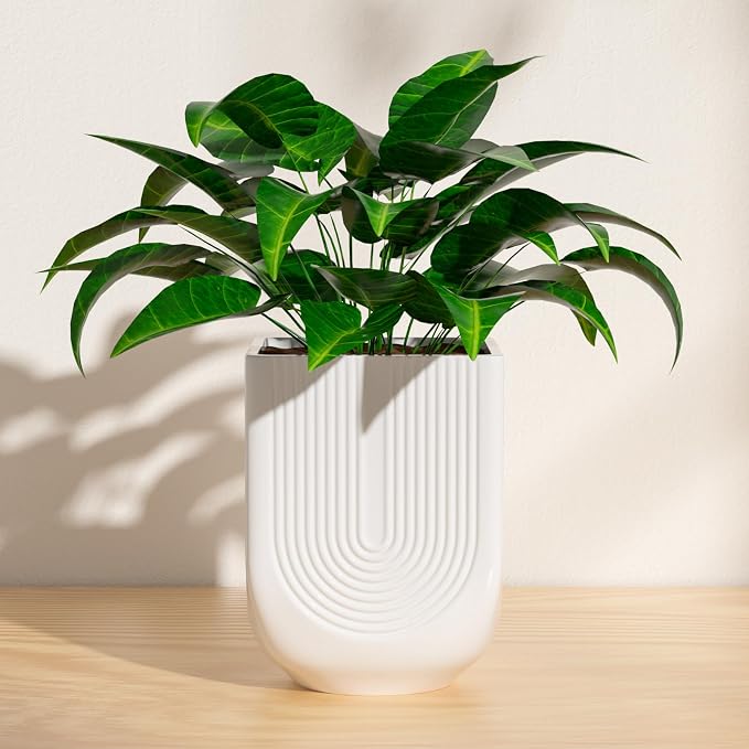 Ceramic Planter, 6 Inch Plant Pot with Drainage, Matte White | Indoor Outdoor Use, Flower Pot for Plants, Home Garden Decor, Lightweight Durable Ceramic