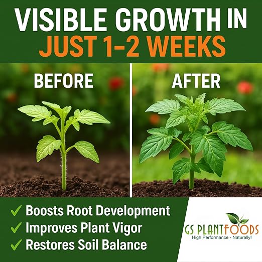 GS Plant Foods Root Ruckus Compost Fertilizer Organic Plant Food - Turbo Charged Compost for Plants - Humic Acid & Sea Kelp Nutritional Root Supplement for Lawns, Soil, Shrubs & Vegetables - 32 Oz