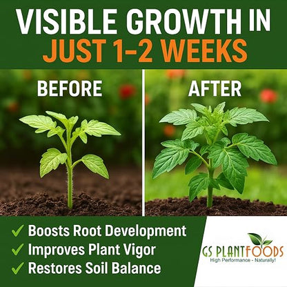 GS Plant Foods Root Ruckus Compost Fertilizer Organic Plant Food - Turbo Charged Compost for Plants - Humic Acid & Sea Kelp Nutritional Root Supplement for Lawns, Soil, Shrubs & Vegetables - 32 Oz