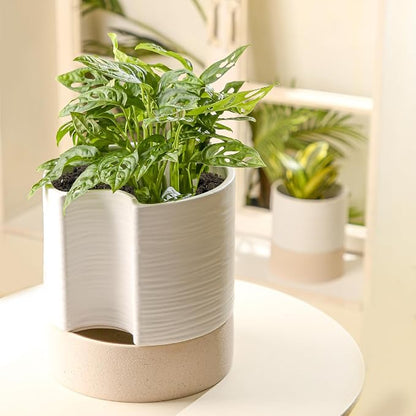 Nihow Ceramic Self Watering Plant Pot for Indoor Plants, 8 Inch,White | Planter with Cotton Wick, Drainage Hole & Water Storage Plus, Cylinder Round Flower Pot, For Succulent/Herbs/Violets