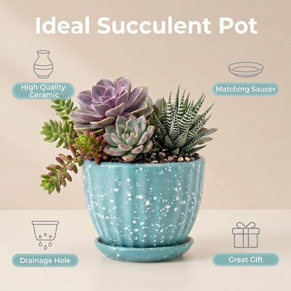4 Inch Ceramic Indoor Succulent Plant Pots with Drainage Holes and Saucers, Bonsai Planter for Succulent, Cactus, Small Flowers (Green)