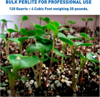 Norcal Perlite Horticultural Organic Certified Premium Screened Coarse Garden Indoor Outdoor Plants Soil and Drainage 4 Cubic Feet (103 Quarts) 1 Bag