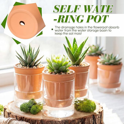 Baderke 2 Pcs 4 Inch Self Watering Pot for Indoor Plants Clear Glass Planter Small Plant Pot with Saucer Reservoir Drainage Holes Bottom Watering for African Violet Orchid Flowers (Terracotta Style)
