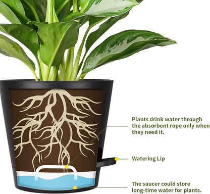 8 Inch Self Watering pots for Indoor, 6 Pack Plastic Plant Pots with Drainage Holes, Black