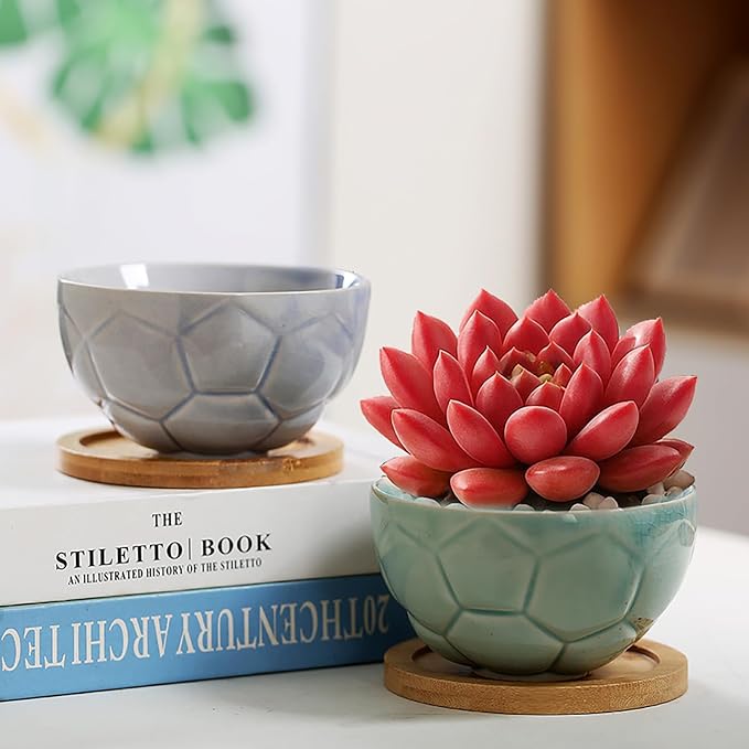 YYW Ceramic Succulent Planter, 4 Pack Cute Garden Pots with Drainage and Attached Saucer
