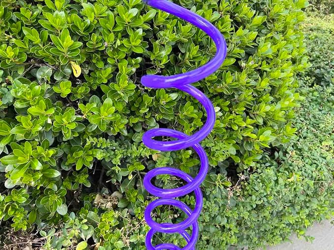 SANFU PU Recoil Garden Water Hose 3/8"ID(9.5 x 12.7mm) x 15ft Premium With 3/4"Inch Brass Fittings Retractable, Outdoor Patio Hose Marine&Boat, Purple(15')