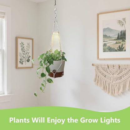 2 Pack Self Watering Hanging Planters with Grow Light for Indoor Plants | 10 Brightness, 3 Light Modes, 3/9/12H Timer, Built-In Reservoir, Drainage Holes, 10 in Pots
