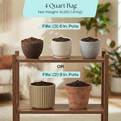 Rosy Soil Herb Mix, Organic Indoor and Outdoor Herb Potting Soil, 4 Quarts | Biochar, Worm Castings, Mycorrhizae Blend, Peat-Free, Fast Draining, for Basil, Cilantro, Lavender, Thyme, Mint, Rosemary