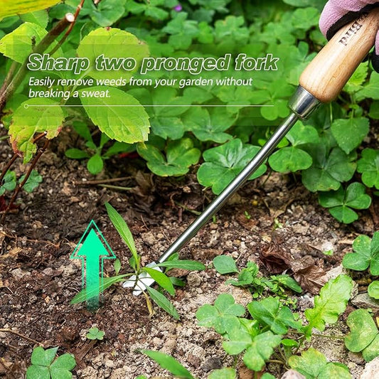 Berry&Bird Dandelion Weeding Tool, Crack Weeder Hand Weeder Puller Tool | V-Shaped Weed Fork for Planting & Weeding, Weed Puller Tool with Wood Handle, Stainless Steel Garden Tool for Patio Lawn Yard
