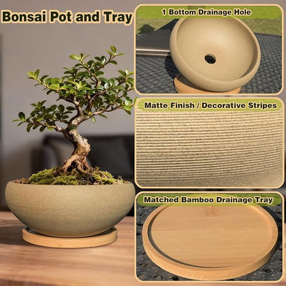 MUZHI 8 inch Round Unglazed Ceramic Bonsai Pot with Bamboo Tray, Shallow Plain Pottery Succulent Planter with Drainage Hole (8”)