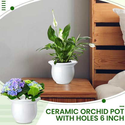 Suclain 2 Pack Ceramic Self Watering Plant Pot African Violet Pots Self Watering Indoor Flower Pot Efficiently Store Water for at Least One Week Modern Decor Gift(White,6.5 Inch)