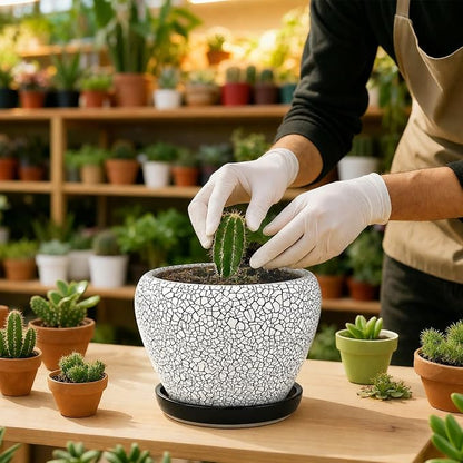 Deep Dream 6 Inch Plant Pots- Ceramic Planter Pot with Drainage Hole and Saucer, Round Flower Pot for Indoor Outdoor Succulent, Snake Plants and Cactus, Wood Crack Black
