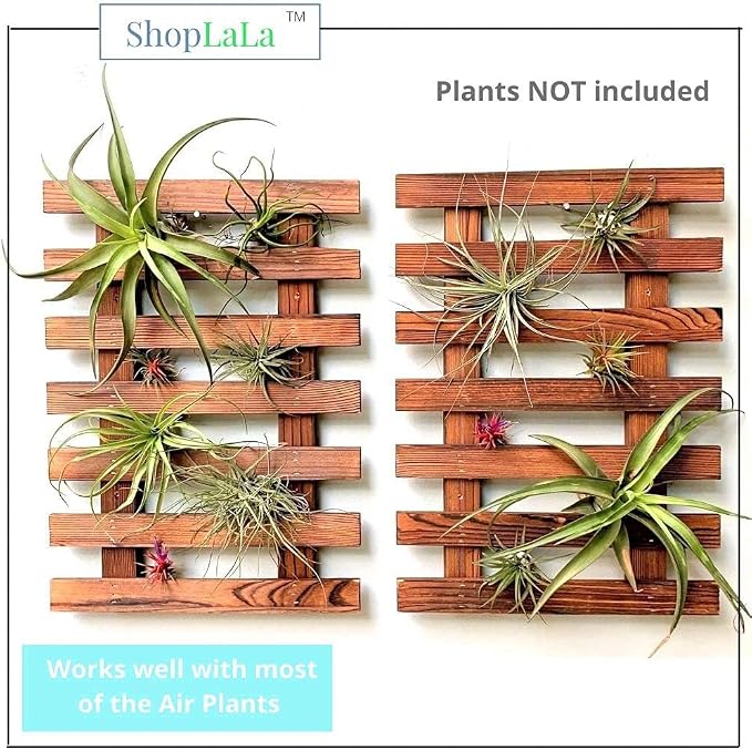 ShopLaLa Wall Planter (40cm, 2 Pack) Wooden Succulent Air Plant Wall Hanger | Orchid Planter Frame Display Outdoor Plants Wall Mount Holder Vertical Garden Plant Wall Decor Macetas para Orquideas