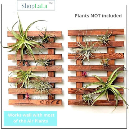 ShopLaLa Wall Planter (40cm, 2 Pack) Wooden Succulent Air Plant Wall Hanger | Orchid Planter Frame Display Outdoor Plants Wall Mount Holder Vertical Garden Plant Wall Decor Macetas para Orquideas