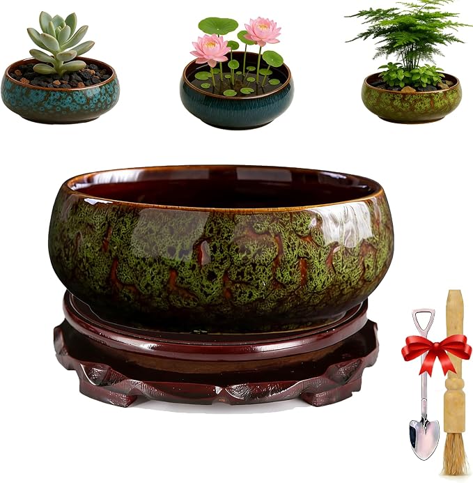 Lotus Bowl Planter - Ceramic Leak-Proof Hydroponic Pot with Rotating Bracket, 6.5 x 2.5 in Round Shallow Plant Glazed Vase, Indoor Water Planting for Home, Patio, Zen Garden Decor