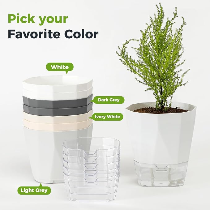 6 Pack Self Watering Pots for Indoor Plants, 5 Inches Self Watering Planters Small African Violet Self Watering Clear Pots for Plants Herb Orchid Flower Houseplant Pots, White