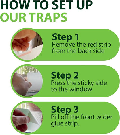 Greenway Window Fly Traps, Sticky Traps for Gnats and Flies, Non-Toxic Fly Control, Safe for Kids and Pets, Perfect for Indoor Use, 1 Pack (Includes 4 Traps)