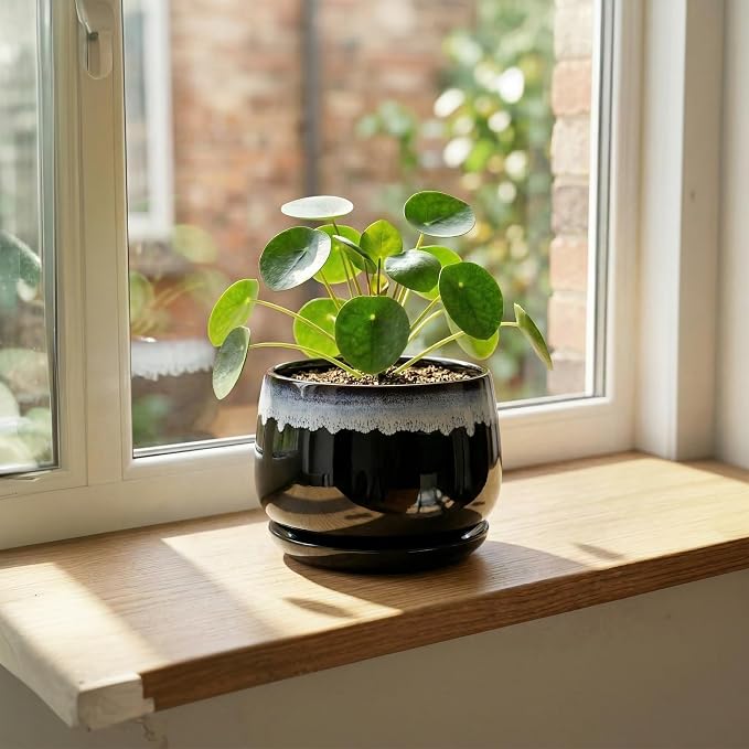 6 Inch Plant Pot - Ceramic Planters for Indoor Plants, Decorative Planter with Drainage Hole and Saucer, Round Flower Pots, Office Patio Decor, Gifts for Gardeners Woman, Black-Blue