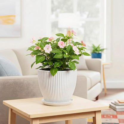 8 Inch Plant Pot, Ceramic Planters for Indoor Plants, Round Pots for Plants with Drainage Hole and Saucer, Modern Decorative Flower Pots, Office Bedroom Decor, Gifts for Plant Lovers, White