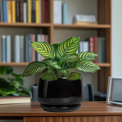 G EPGardening Ceramic Planter 7 Inch - Ceramic Pot for Plants with Drainage and Saucer, Round Plant Pots, Modern Indoor Outdoor Planter, Home Decor, Garden Gifts, Black
