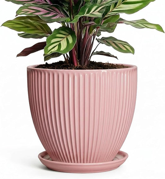 6 Inch Flower Pots, Ceramic Pots for Plants Indoor, Modern Plant Pot with Drainage Hole and Saucer, Decorative Small Round Succulent Planter, Living Room Office Decor, Women Men Gifts, Pink