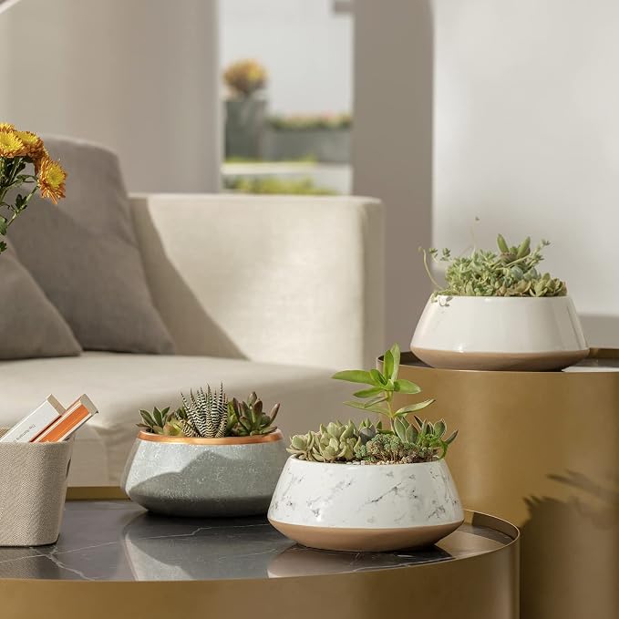 LA JOLIE MUSE Large Succulent Planter Pots - Ceramic Indoor Outdoor Garden Pot with Drainage for Plant Flower, 8 Inch, Gray